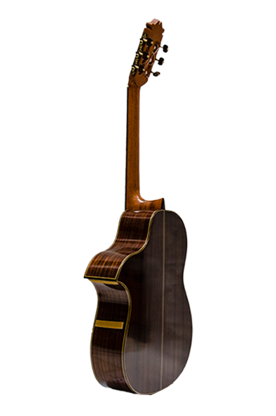 WEB-2_guitarra_jsolano-3416