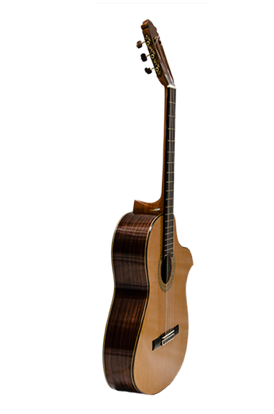 WEB-5_guitarra_jsolano-3416